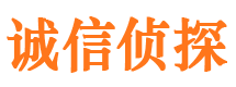 临潼市私家侦探